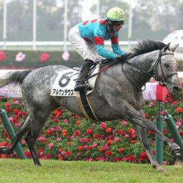 【木津の土曜競馬コラム・八ケ岳特別】