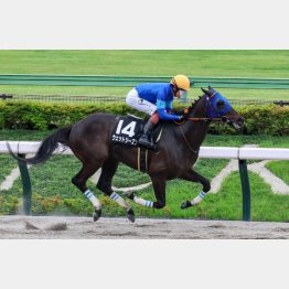 前走の勝ち時計は秀逸