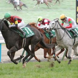 【橘の土曜競馬コラム・オパールＳ】