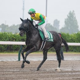 前走は返し馬までパシュファイアーを装着