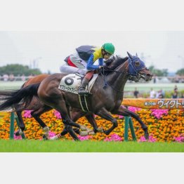 東京で１勝クラスを卒業