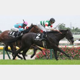 この舞台で高尾特別を勝った