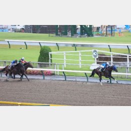 ２走前、勝ち馬には千切られたが②着は確保