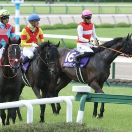 【市川の日曜競馬コラム・京都大賞典】