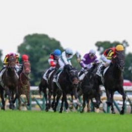 【武田の日曜競馬コラム・毎日王冠】