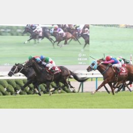昨年のこのレースは最低11番人気で③着