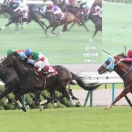 【橘の日曜競馬コラム・京都大賞典】