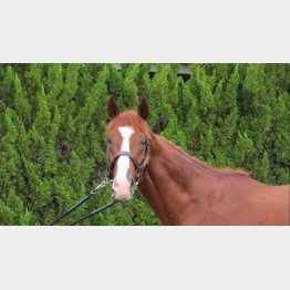 リラックスムードのサンライズアース