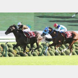 １６年は宝塚記念③着のキタサンブラックが１番人気に応えた