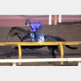 ７歳でも実に若々しい