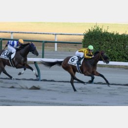 前走１勝クラスを好時計で快勝
