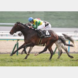 ２月の春日特別で２勝クラスを勝ち上がり