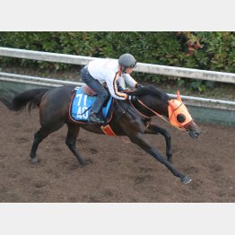 直前は坂路55秒８