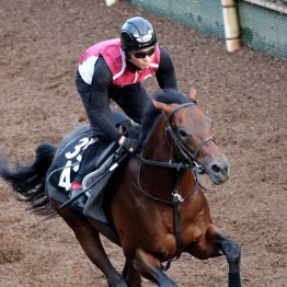 【京都５Ｒ・２歳新馬】ブレットパス　牡・中内田充正厩舎