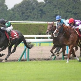 【京都大賞典】７歳ディープモンスターが悲願の重賞初制覇