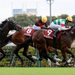 【毎日王冠】レーベンスティールが重賞４勝目