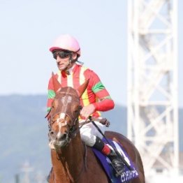 【凱旋門賞】今年の３頭も敗れる　上位に来た欧州馬との流れる血の質の違い