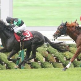 【京都大賞典】ディープモンスター待望の重賞初Ｖ