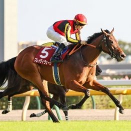【アイルランドＴ】リニューアルした牝馬重賞に実力馬が揃う
