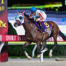 【ジャパンダートクラシック】ナチュラルライズ３冠達成