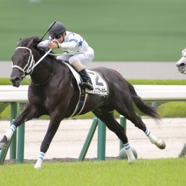 【サウジアラビアＲＣ】全休日の外角馬場の動きで知るチュウワカーネギーの好素材ぶり