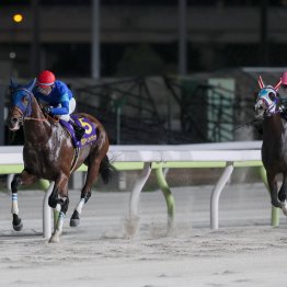 【ジャパンダートクラシック】ナルカミが逃げ切って３冠を阻止