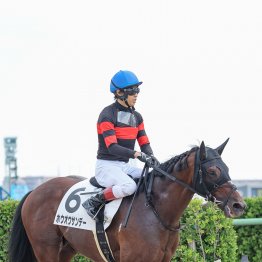 【田中の土曜競馬コラム・宇治川特別】