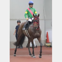 3歳馬が本線