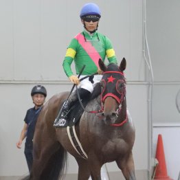 【播磨の土曜競馬コラム・御陵Ｓ】