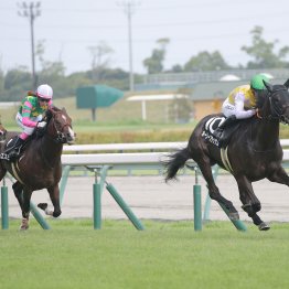 【藤岡の土曜競馬コラム・宇治川特別】