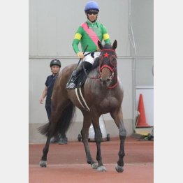 堂々とオープンへ