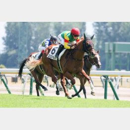 2連勝で重賞取り