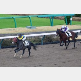 前々走は6馬身差の圧勝