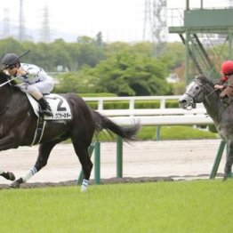 【大谷の土曜競馬コラム・サウジアラビアロイヤルＣ】