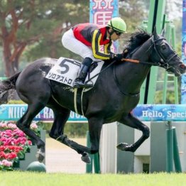 【武田の土曜競馬コラム・サウジアラビアロイヤルＣ】
