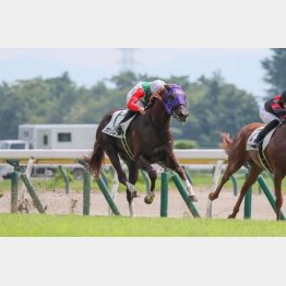 2戦目が見どころあり
