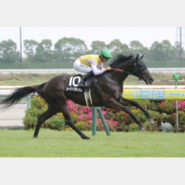前走は②着に2馬身差