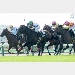 2走前は②着に善戦