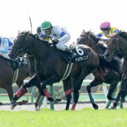 【東京本紙・外山の土曜東京９Ｒ】
