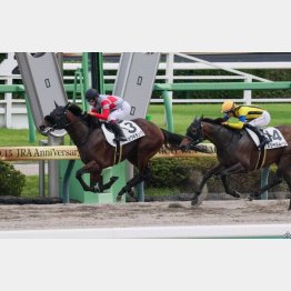 前走は好時計勝ち