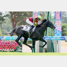 2戦目は一変したレース運び