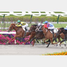 ２勝クラス卒業が見えてきた（青帽）