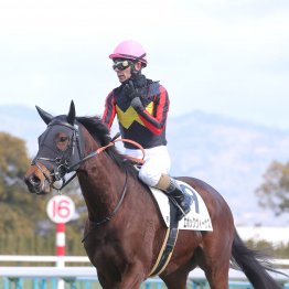 【藤岡の日曜競馬コラム・三年坂Ｓ】
