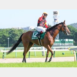 同じ舞台で重賞連勝だ
