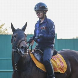 【新居の日曜競馬コラム・アイルランドＴ】