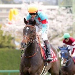 【大谷の日曜競馬コラム・アイルランドＴ】