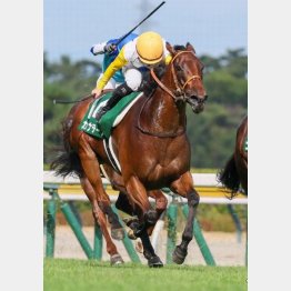 関屋記念をレコード勝ち