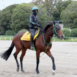 【橘の日曜競馬コラム・アイルランドＴ】