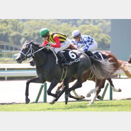 亀井は前走②着のワンモアスマイル推し(白帽)