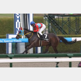 梅田Ｓは５馬身差の圧勝